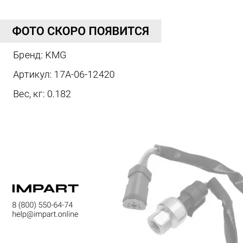 17A-06-12420 Датчик KMG