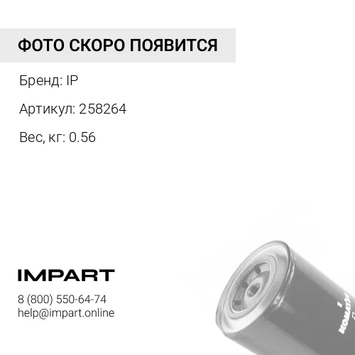 258264Фильтр антикоррозийный IP
