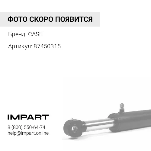 87450315 Втулка CNH аналог CASE