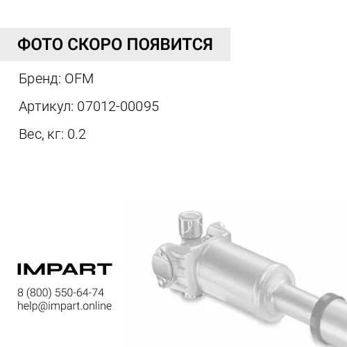 07012-00095 Уплотнение OFM