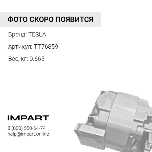 TT76859 Электромагнит TESLA 