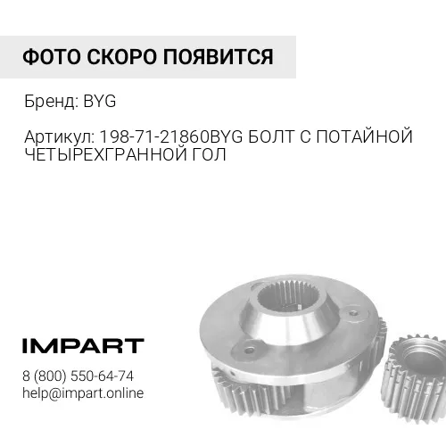198-71-21860 BYG