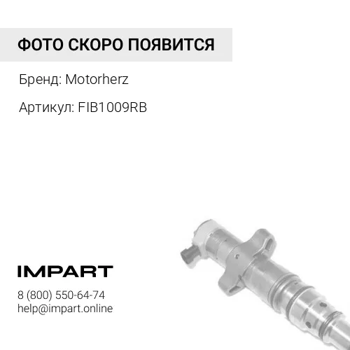 FIB1009RB Форсунка топливная восстановленная Motorherz
