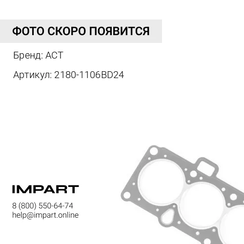 2180-1106BD24 Сальник ACT 2180-1106BD24 DS5502024 ACT