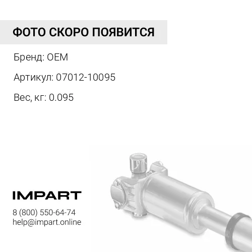 07012-10095 сальник гт OEM