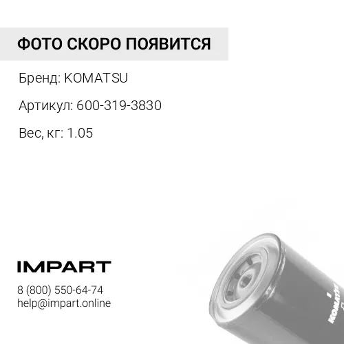 600-319-3830 АНТИКОРРОЗИЙНЫЙ ФИЛЬТР