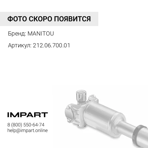 212.06.700.01 Подшипник приводного вала 212.06.700.01 563903 DAA MANITOU