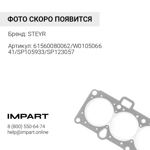 61560080062/W010506641/SP105933/SP123057 Кольцо муфты привода топливного насоса STEYR
