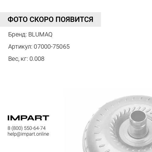 07000-75065 Прокладка тип "О" BLUMAQ