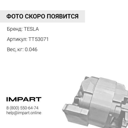 TT53071 Щетки 2 шт. в комплекте TESLA 