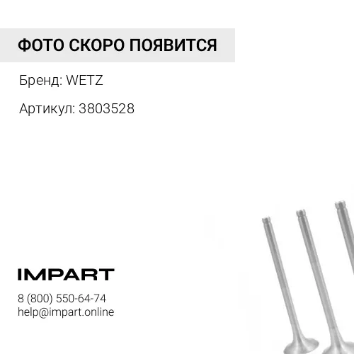 3803528 Клапан выпускной с сухарями, 3803528 WETZ WETZ