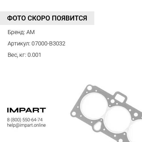 07000-B3032 уплотнение AM