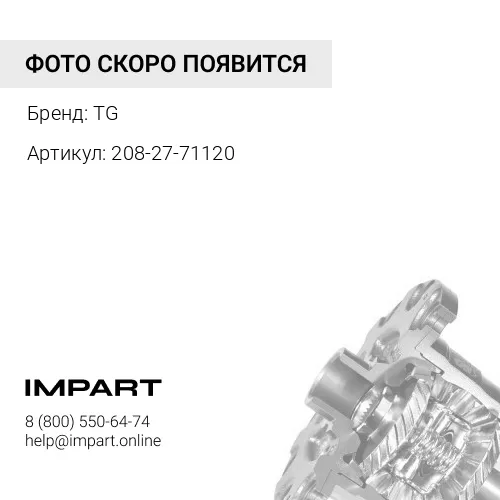 208-27-71120 Сателлит TG