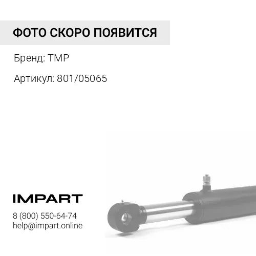 801/05065 ПАЛЕЦ 801/05065 TMP