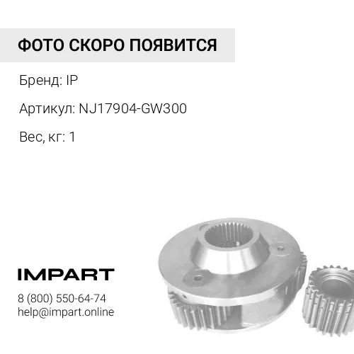 NJ17904-GW300 КАЛАПАН В СБОРЕ IP