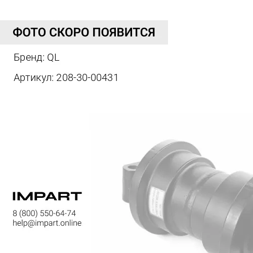 208-30-00431 Каток поддерживающий QL