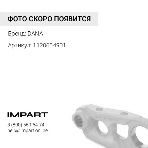 1120604901 Ступица колеса на DANA 112.06.049.01 601246 DANA