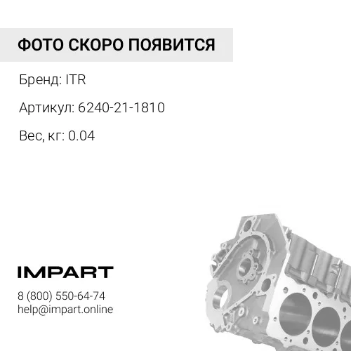 6240-21-1810 Распылитель форсунки ITR