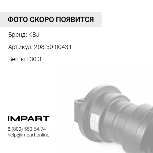 208-30-00431-KBJ КАТОК ПОДДЕРЖИВАЮЩИЙ С КРОНШТЕЙНОМ KBJ