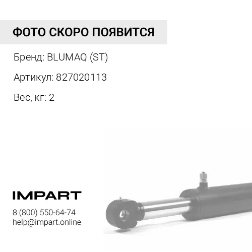 827020113 НАБОР