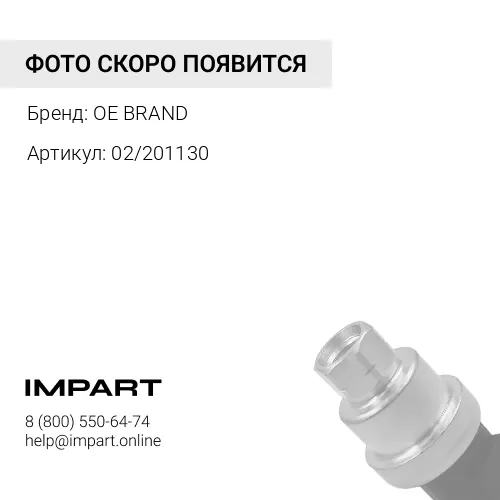 02/201130 Насос масляный OE BRAND