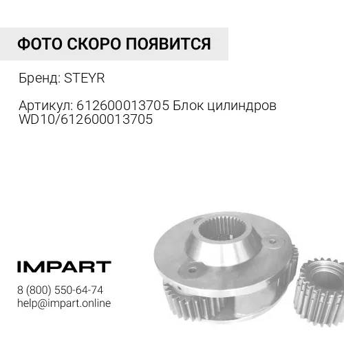 612600013705 Блок цилиндров WD10/612600013705 STEYR