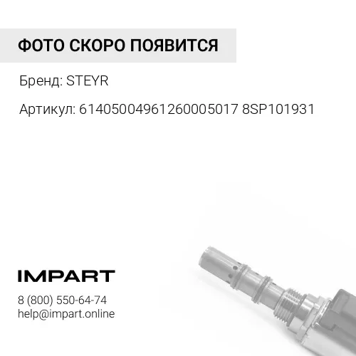 614050049612600050178SP101931 Коромысло выпускного клапана STEYR