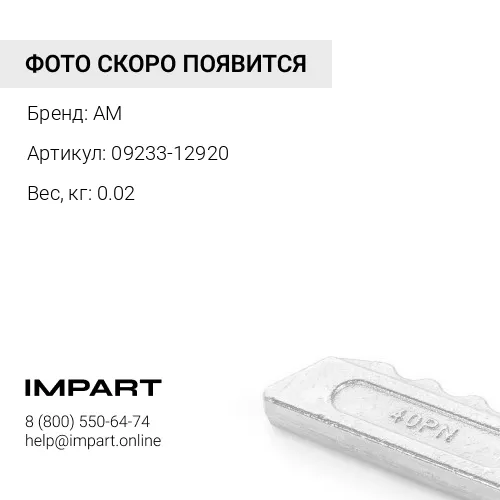 09233-12920 Шайба AM