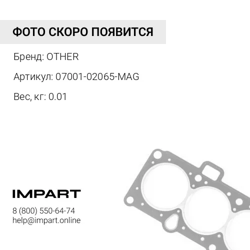 07001-02065-MAG УПЛОТНИТЕЛЬНОЕ КОЛЬЦО OTHER