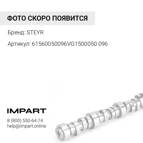 61560050096VG1500050096 Распредвал 4110000924097 STEYR