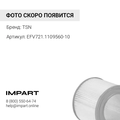 EFV721.1109560-10 Фильтр воздушный RЭФВ389(ЭФВ721.1109560-10) TSN