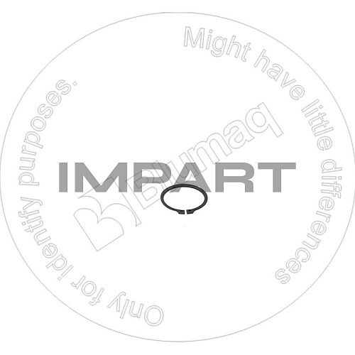 04064-06020 Кольцо 0616711